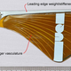 Illustration for article titled Steerable Paper Airplanes Put Your Harassment Right On Target